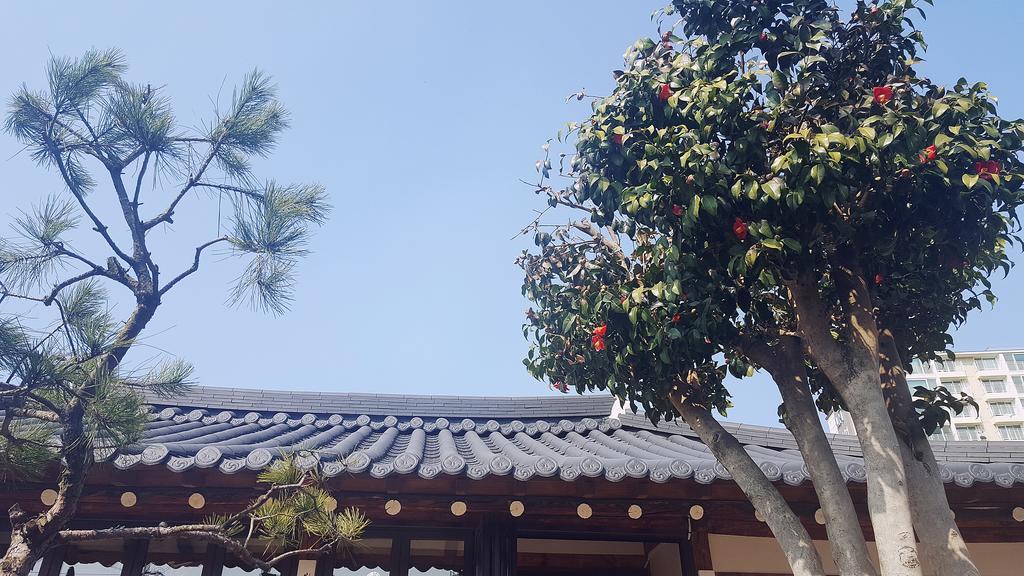 Misori Guesthouse Gwangju Metropolitan City Esterno foto