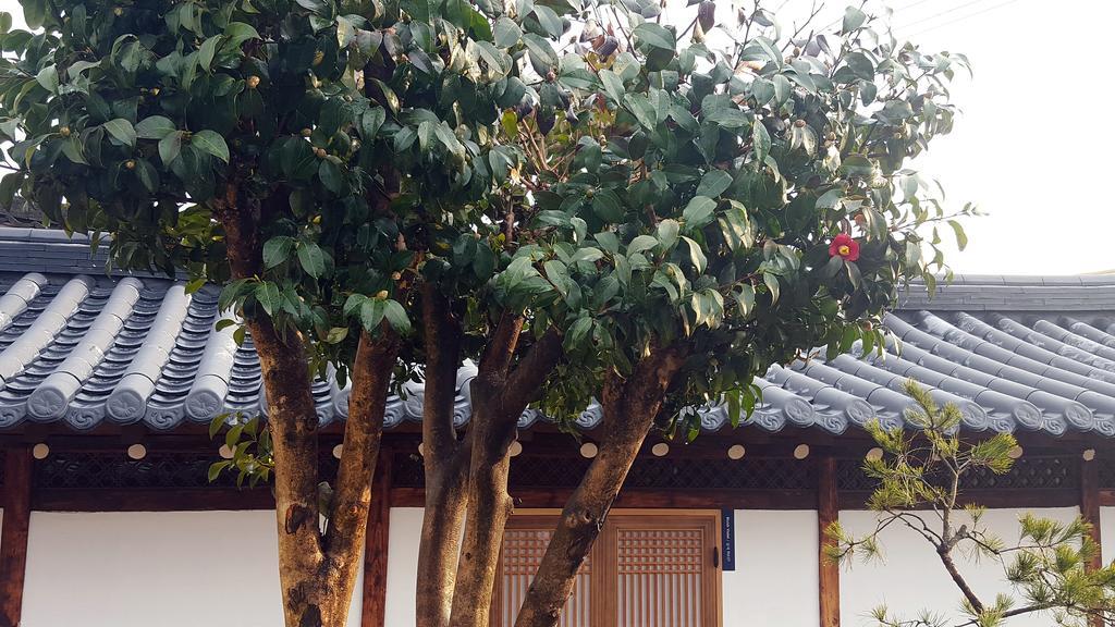 Misori Guesthouse Gwangju Metropolitan City Esterno foto
