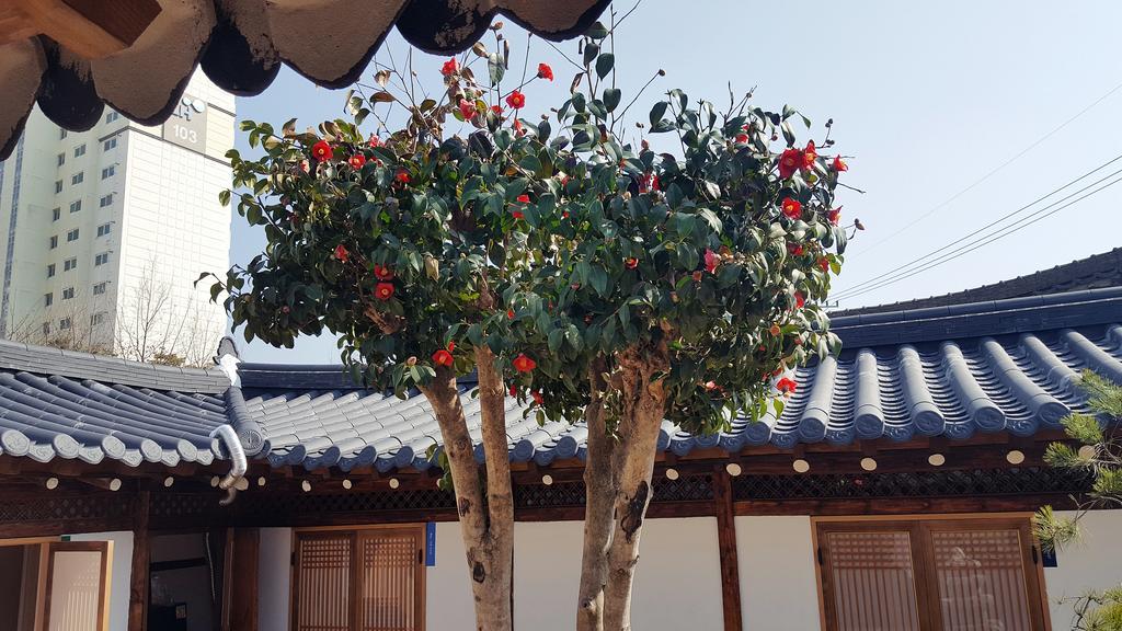 Misori Guesthouse Gwangju Metropolitan City Esterno foto