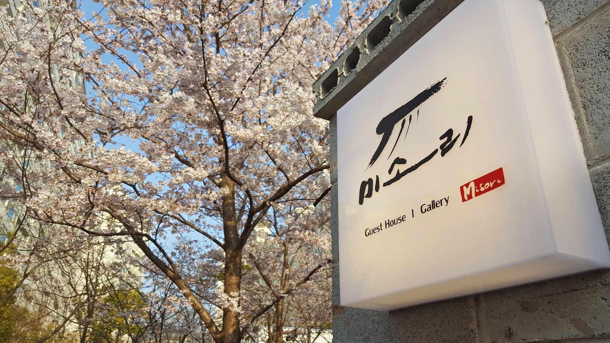 Misori Guesthouse Gwangju Metropolitan City Esterno foto
