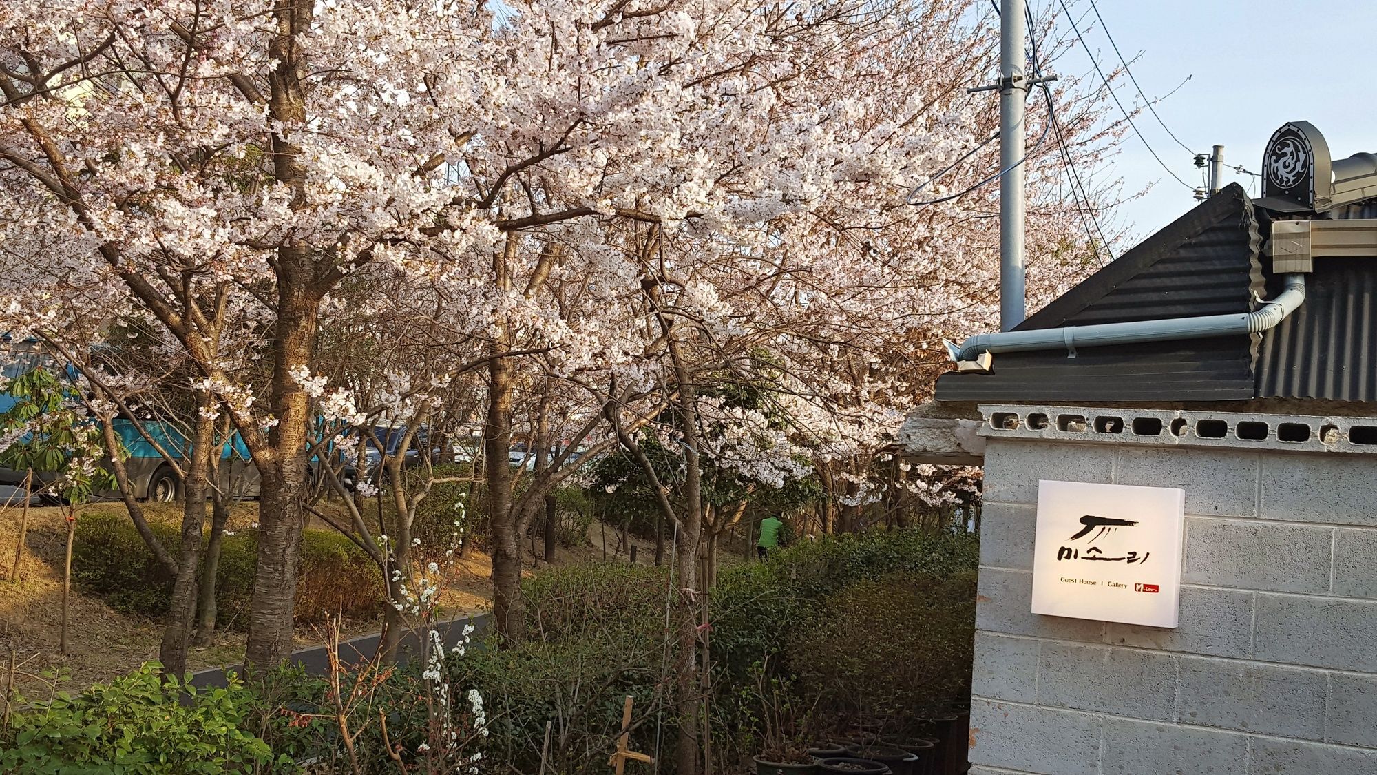 Misori Guesthouse Gwangju Metropolitan City Esterno foto