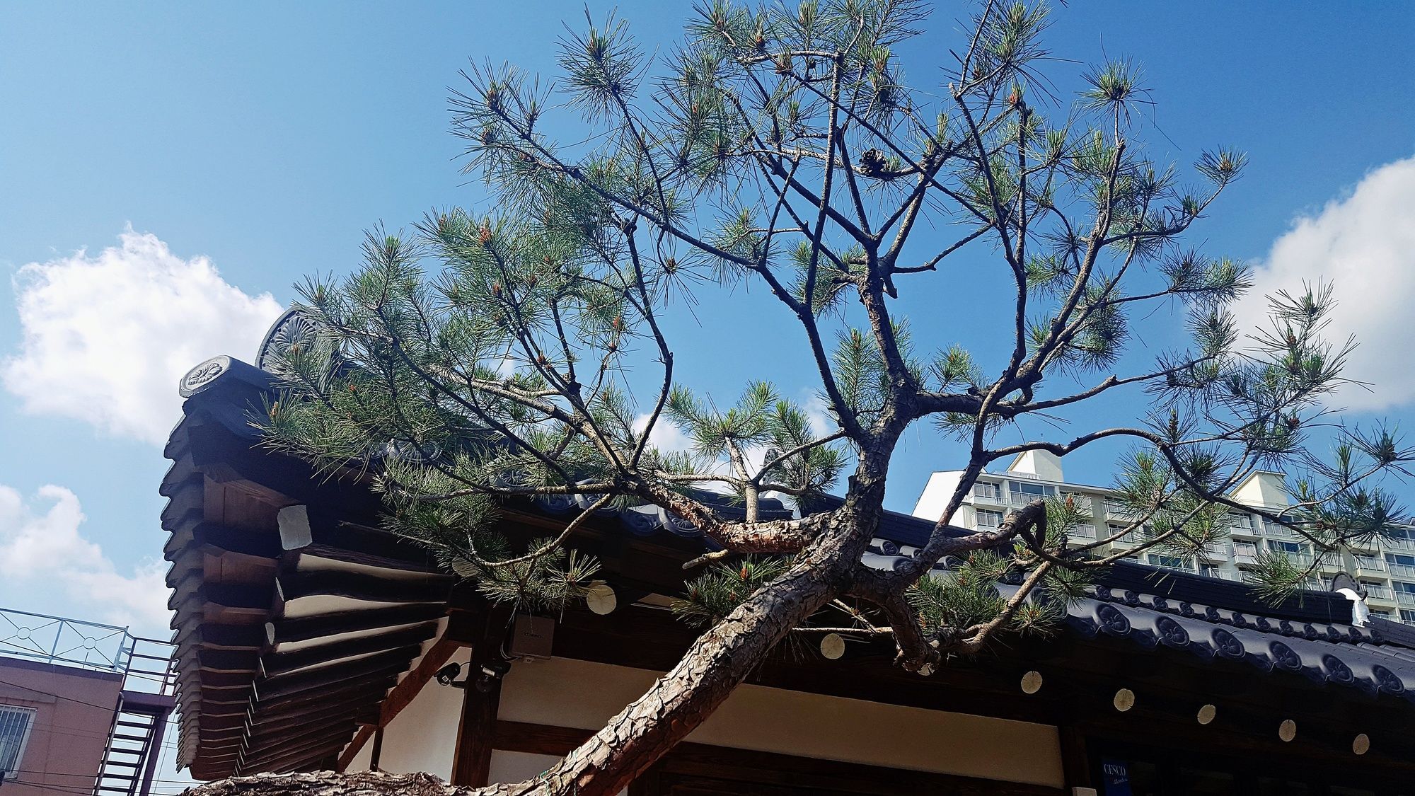 Misori Guesthouse Gwangju Metropolitan City Esterno foto